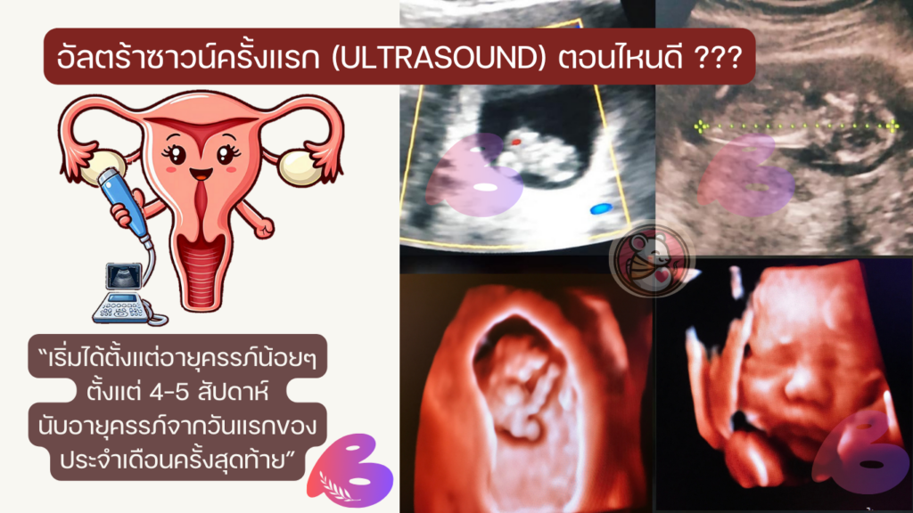 อัลตร้าซาวน์ทารก (Ultrasound) ควรทำตอนไหน ราคาเท่าไหร่